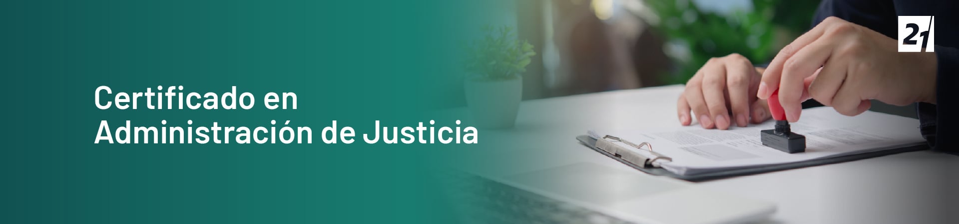 Header Desktop Certificado en Administración de Justicia Header Desktop Certificado en Administración de Justicia