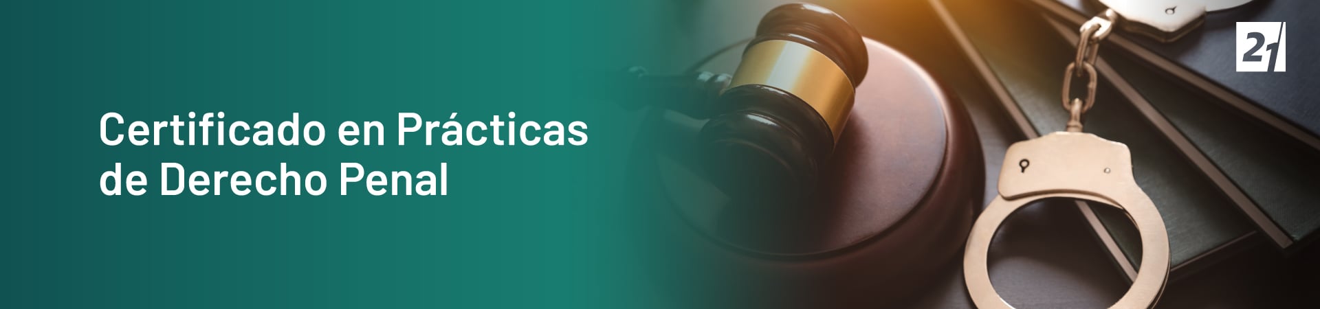 Header Desktop Certificado en Prácticas de Derecho Penal