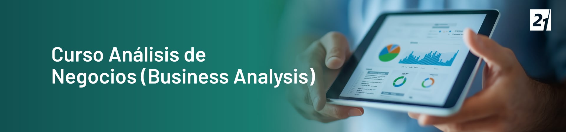 Header Desktop Curso Análisis de Negocios (Business Analysis)